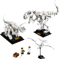 21320 Dinosaur Fossils