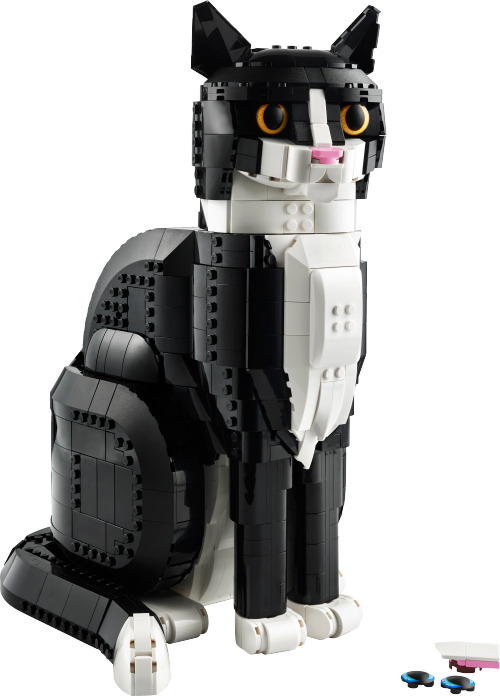 21349 Tuxedo Cat