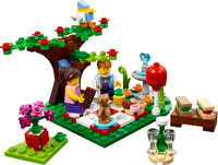 Romantic Valentine Picnic