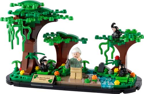 40530 Jane Goodall
